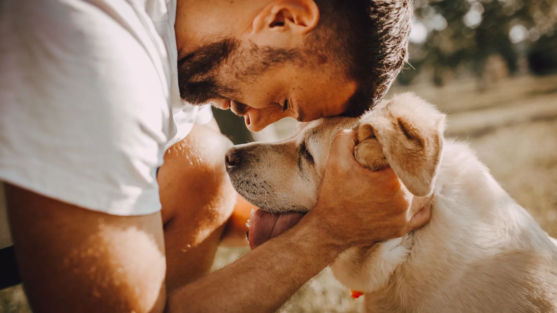 An owner bowing his head to his labrador in a gentle goodbye