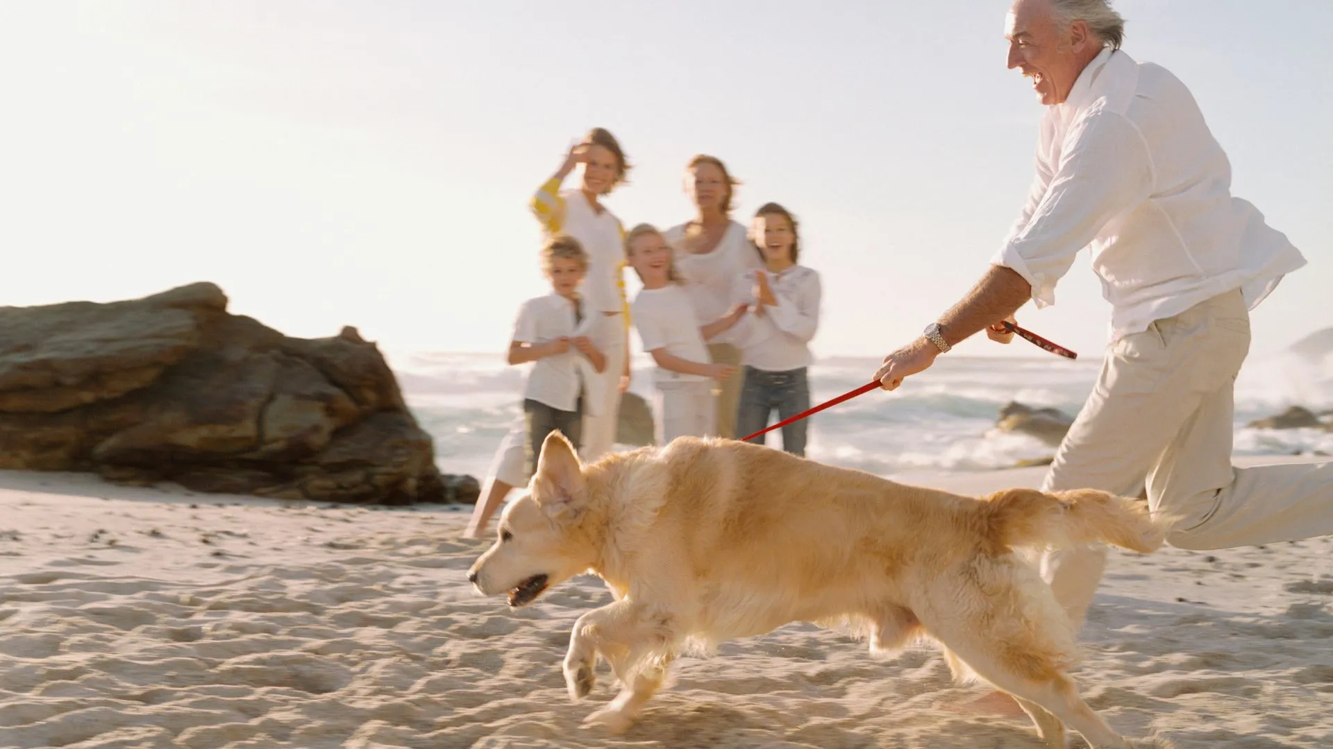 A family walking their golden retriever along the shore