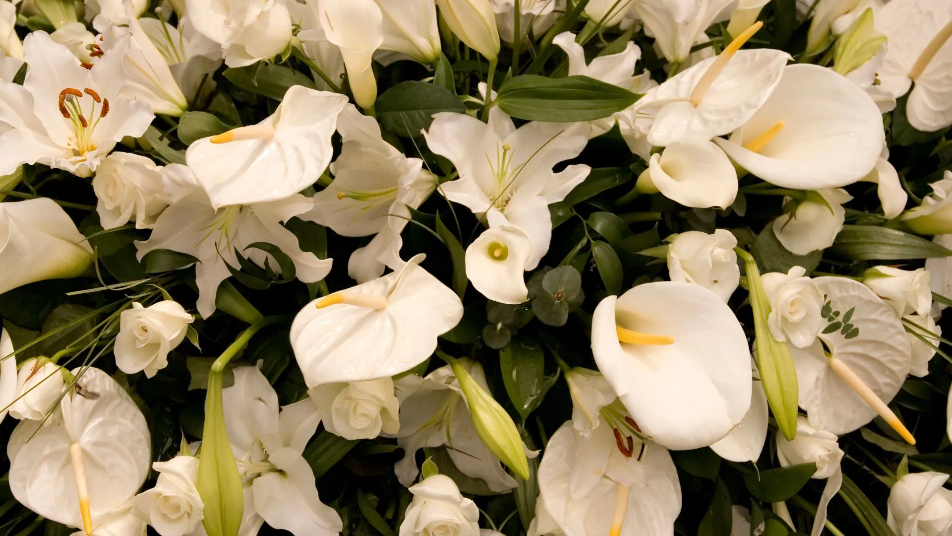 Ivory lilies and white roses for an individual farewell
